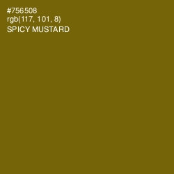 #756508 - Spicy Mustard Color Image